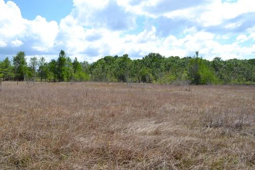 Citrus County, Inverness, Florida, United States