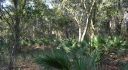 Citrus County, Hernando, Florida, United States