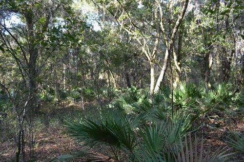 Citrus County, Hernando, Florida, United States