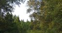 Levy County, Otter Creek, Florida, United States
