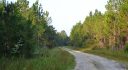 Levy County, Otter Creek, Florida, United States