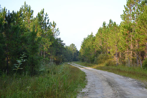 Levy County, Otter Creek, Florida, United States