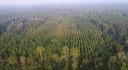 Levy County, Otter Creek, Florida, United States