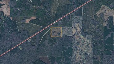 Levy County, Otter Creek, Florida, United States