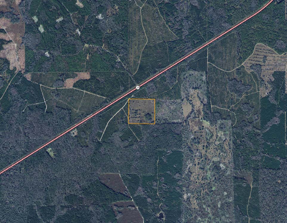 Levy County, Otter Creek, Florida, United States
