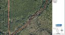 Marion County, Fort McCoy, Florida, United States