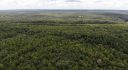 Marion County, Fort McCoy, Florida, United States
