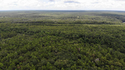 Marion County, Fort McCoy, Florida, United States