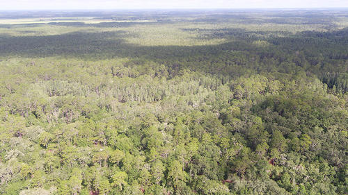 Marion County, Fort McCoy, Florida, United States