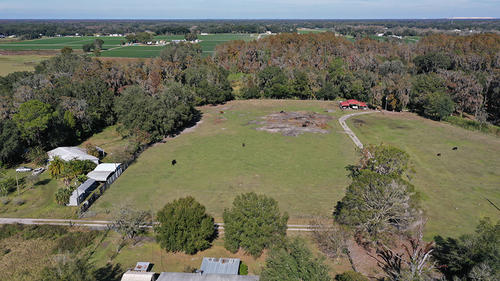 Hillsborough County, Plant City, Florida, United States