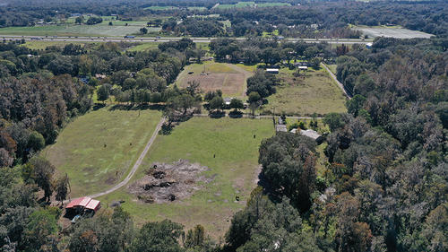 Hillsborough County, Plant City, Florida, United States