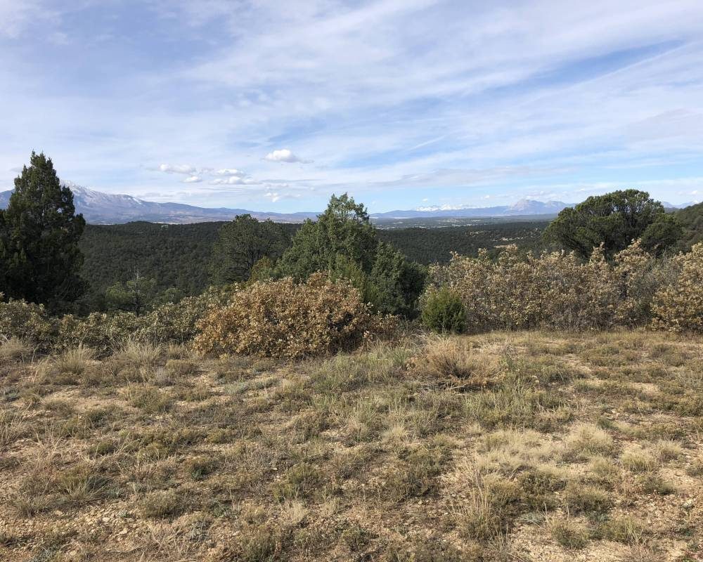 Blackhawk 84, Colorado