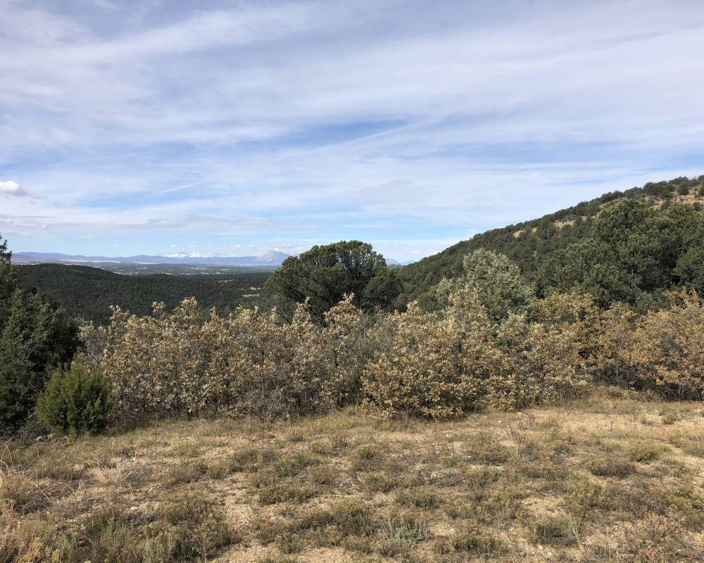Blackhawk 84, Colorado
