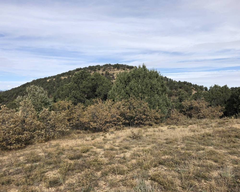 Blackhawk 84, Colorado