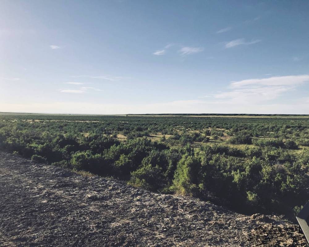 Coughlin Acres – Casper, Wyoming
