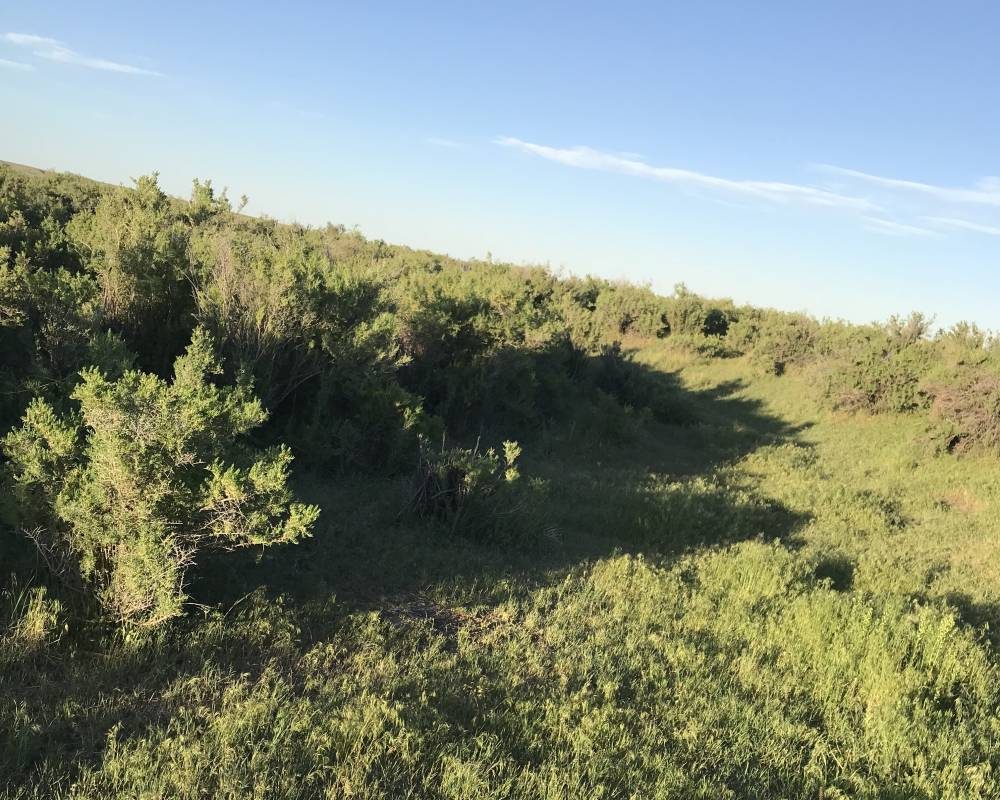 Coughlin Acres – Casper, Wyoming