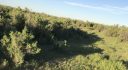 Coughlin Acres – Casper, Wyoming
