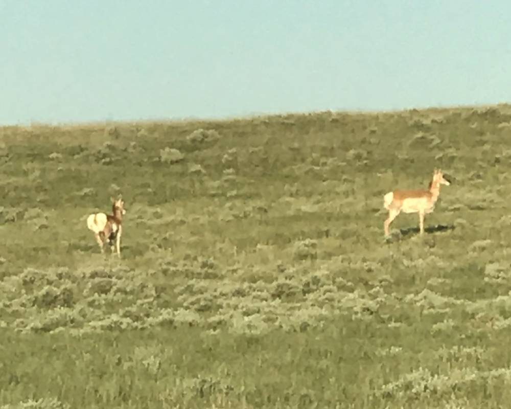 Coughlin Acres – Casper, Wyoming