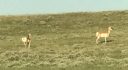 Coughlin Acres – Casper, Wyoming