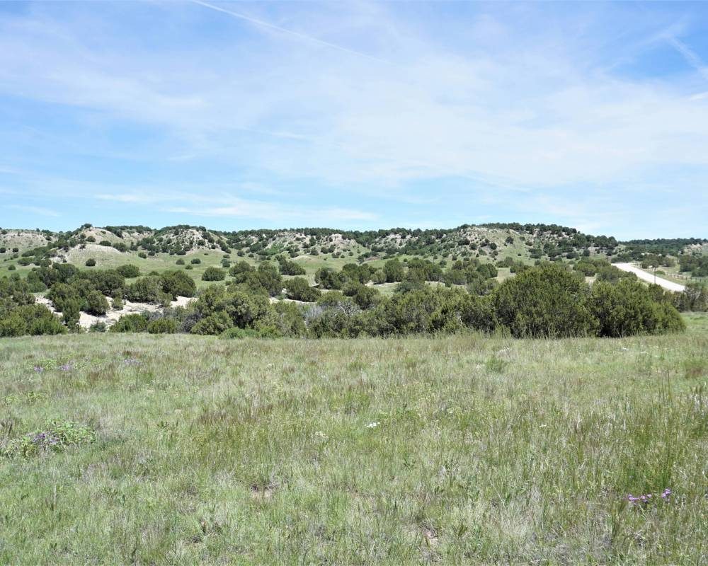 Hatchet Ranch-Parcel 4, Colorado