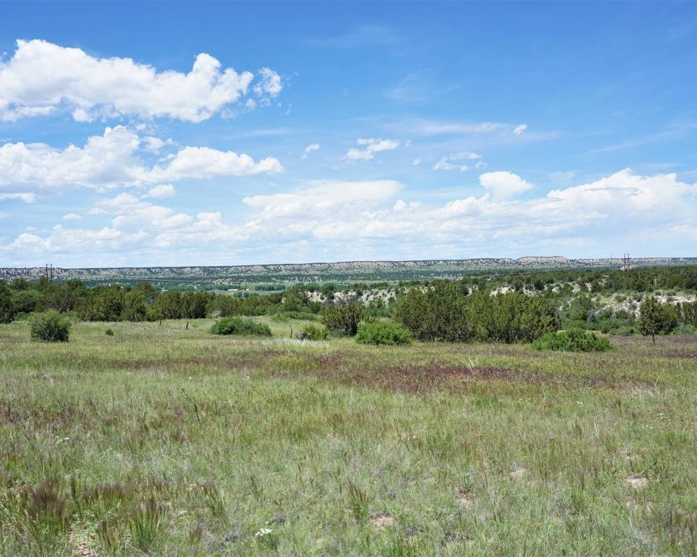 Hatchet Ranch-Parcel 4, Colorado