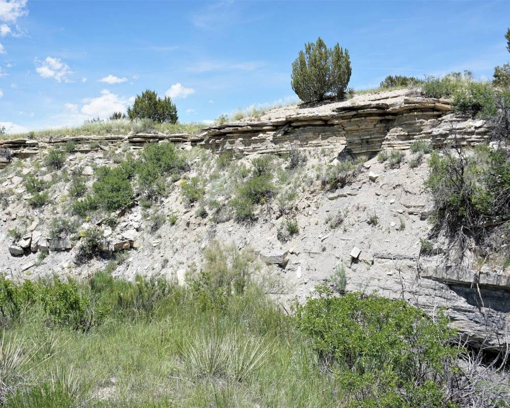 Hatchet Ranch-Parcel 4, Colorado