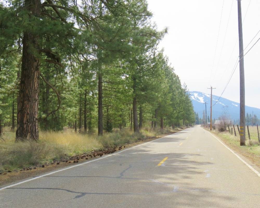Black Ranch Road 10 acres, California