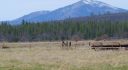 Black Ranch Road 10 acres, California