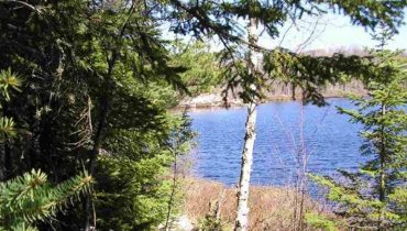 Secluded Dommer Creek MLS 1111834, Michigan