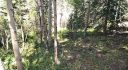 8928 Black Mountain Dr, Conifer, CO 80433