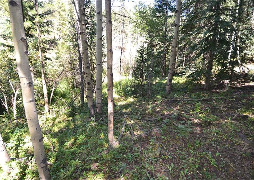 8928 Black Mountain Dr, Conifer, CO 80433