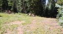 8928 Black Mountain Dr, Conifer, CO 80433