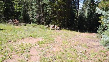 8928 Black Mountain Dr, Conifer, CO 80433