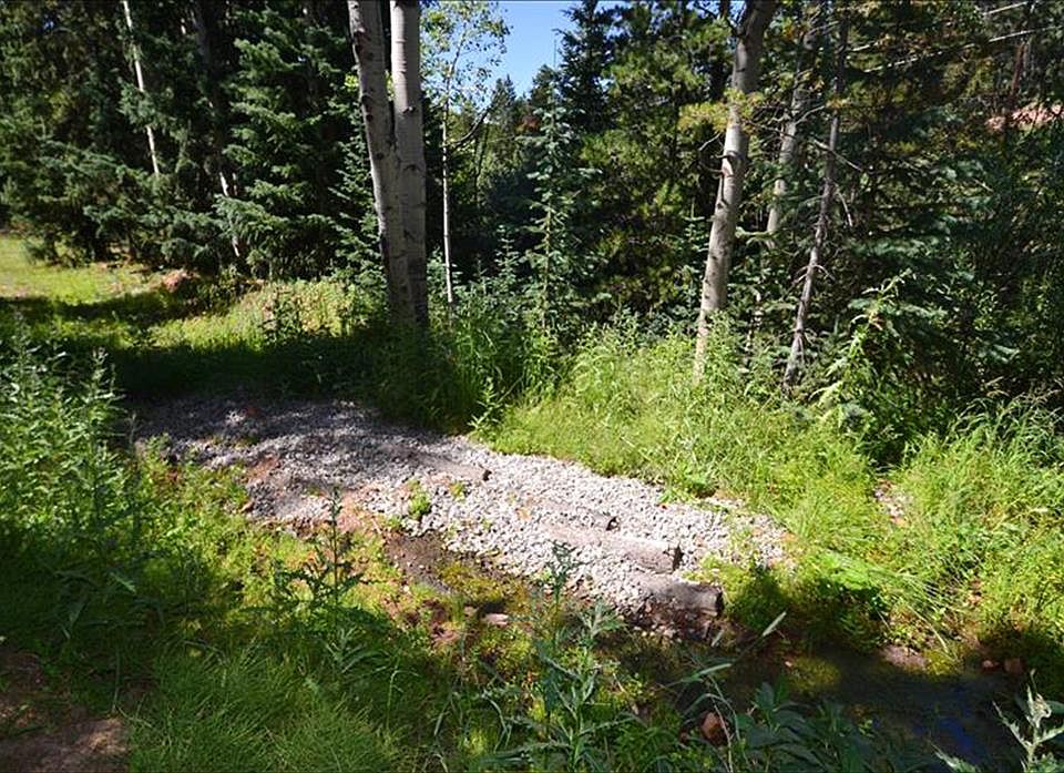 8928 Black Mountain Dr, Conifer, CO 80433