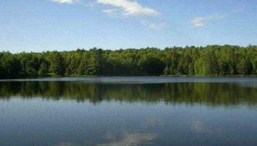 Lot F on the Call of the Wild , Michigan